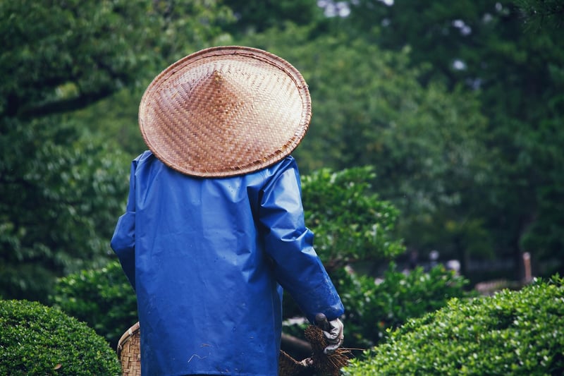 Connect with fellow gardeners
